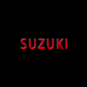 SUZUKI Accelerator Post