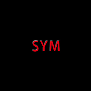 SYM Secondary Sliding Sheave Assembly