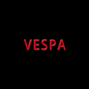 VESPA Front Forks Cover