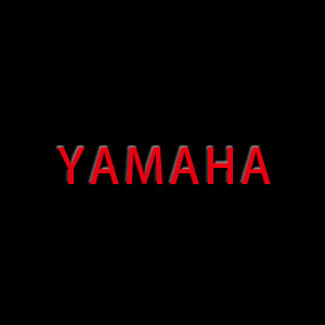 YAMAHA Switch
