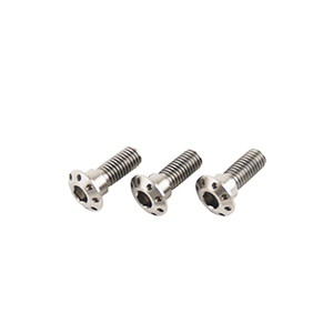 HONDA ZOOMER 50 Stainless Brake Disk Screw